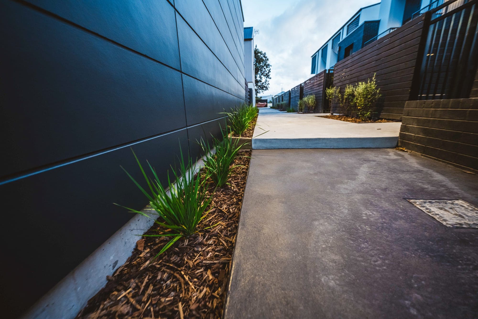 A connecting path with a mulched planting strip of grasses running tight against the cladding.